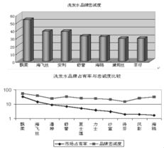 飄影洗發水營銷策劃案themarketingplanofpuyenshampoo 吳德望 第5頁 市場營銷 品牌策劃 市場營銷 管理文庫