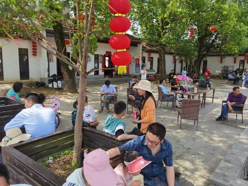 羅田假日旅游 產品豐富，服務文明有序