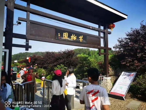 羅田假日旅游 產品豐富，服務文明有序